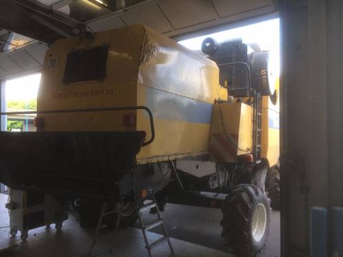 11539615 927842800607555 6717511375225305017 n